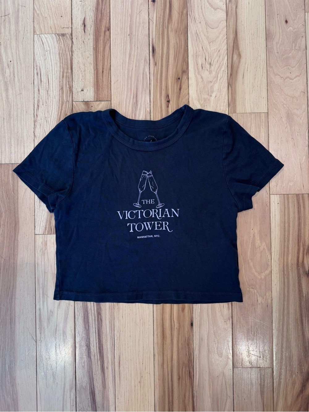 Pacsun Gray Cropped Graphic Tee - Size Medium